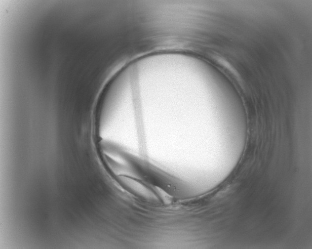 X0000069411467200605262156