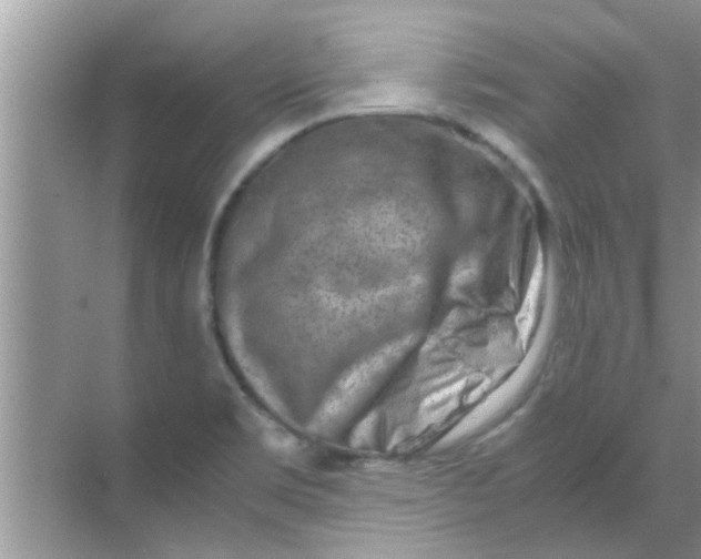 X0000069411469200605262156