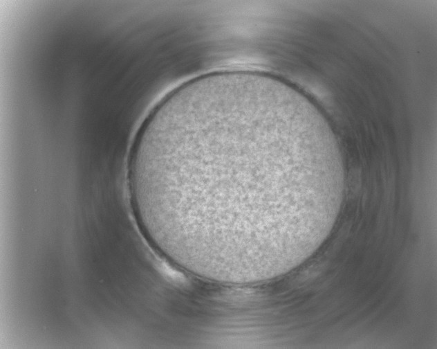 X0000069411470200605262156