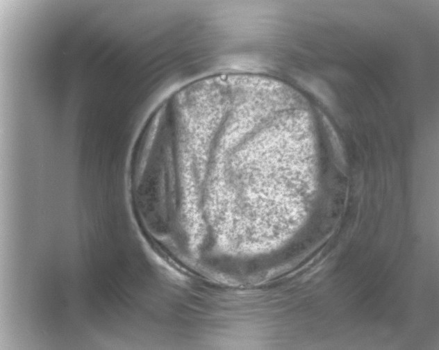 X0000069411471200605262156