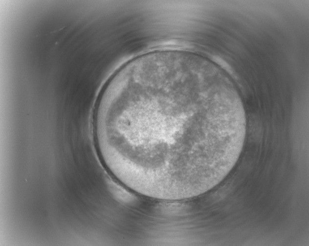 X0000069411474200605262156