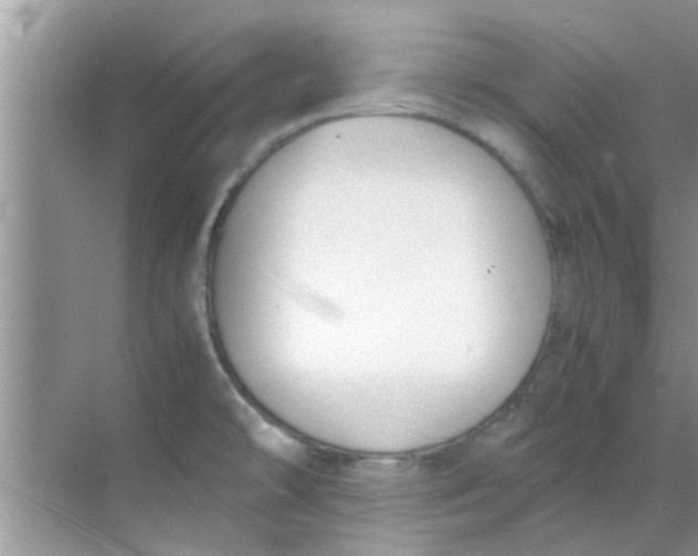 X0000069411478200605262156