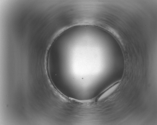 X0000069411480200605262156