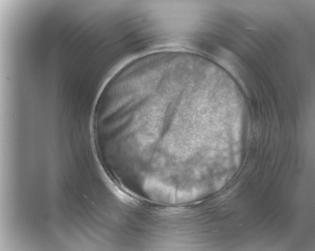 X0000069411482200605262156