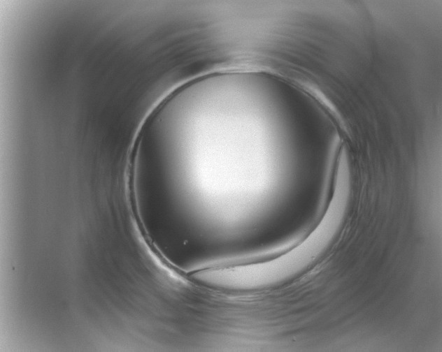 X0000069411484200605262156