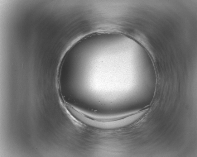 X0000069411485200605262156