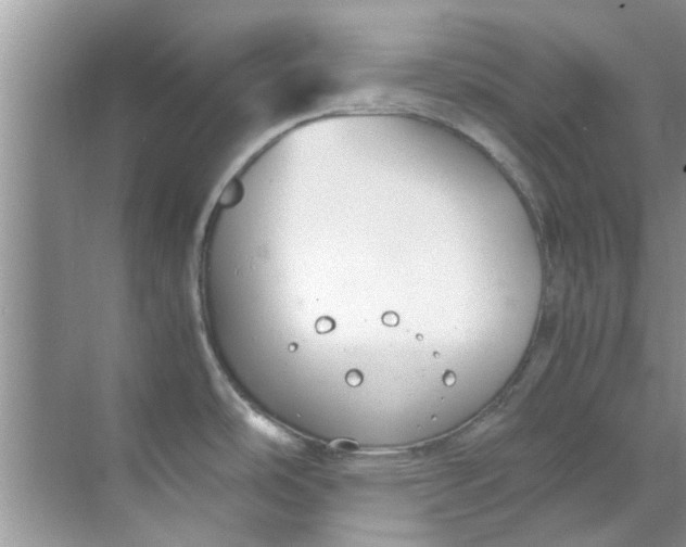 X0000069411486200605262156