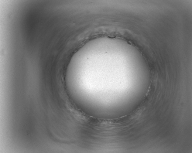 X0000069411489200605262155