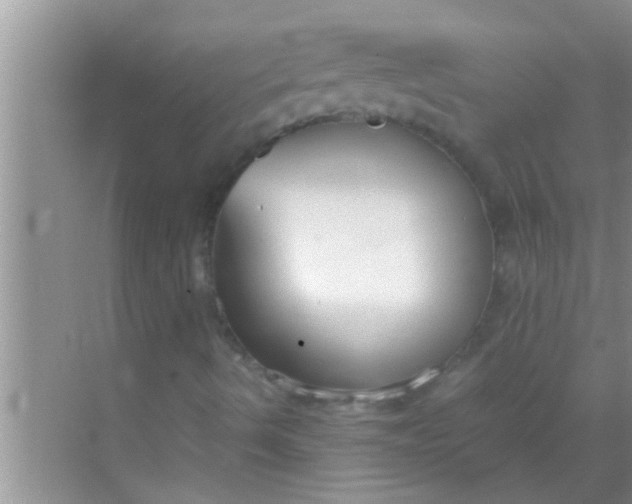 X0000069411490200605262155