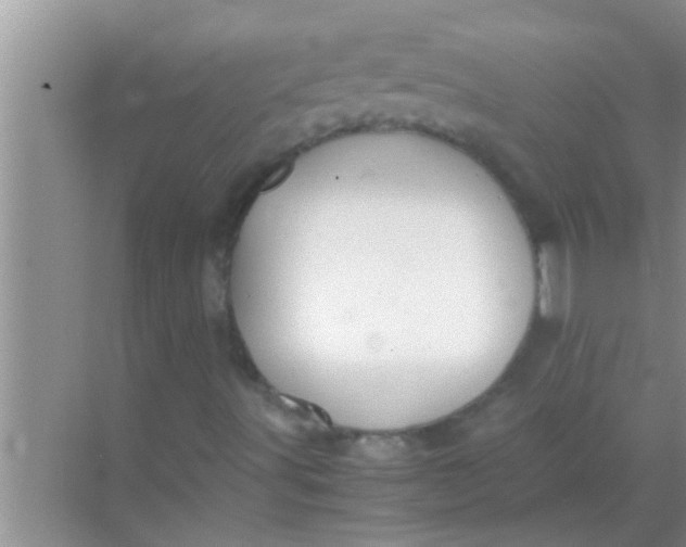 X0000069411491200605262155