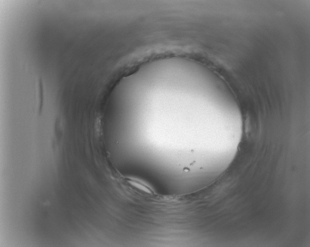 X0000069411492200605262155