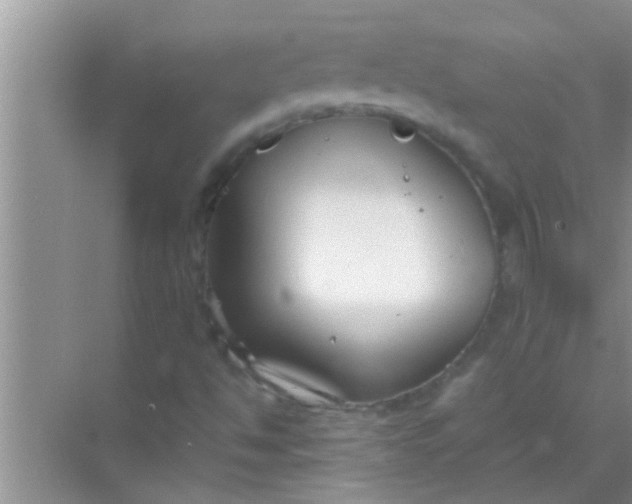 X0000069411494200605262155