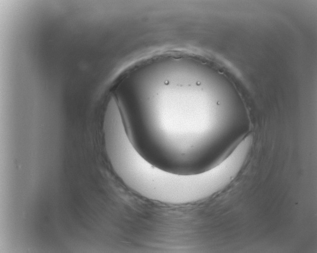 X0000069411496200605262155