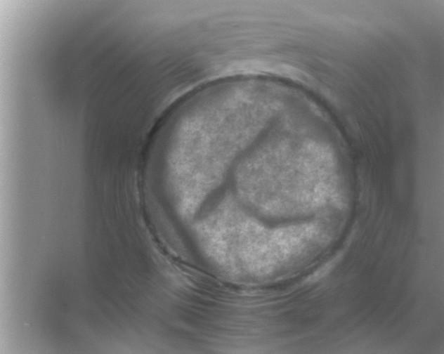 X0000069411497200605262155