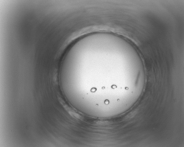 X0000069411499200605262155