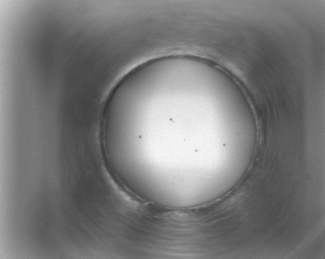 X0000069411500200605262155