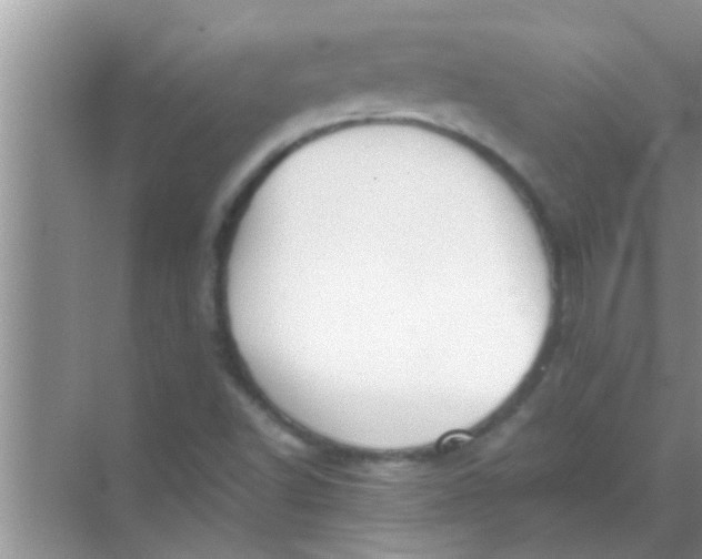 X0000069411502200605262155