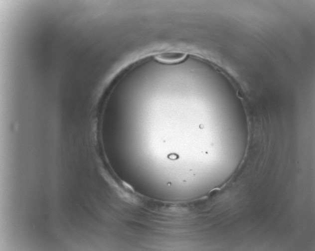 X0000069411503200605262155