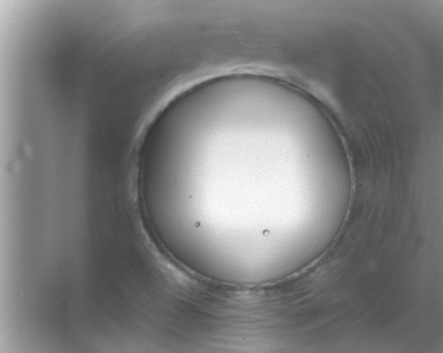 X0000069411504200605262155