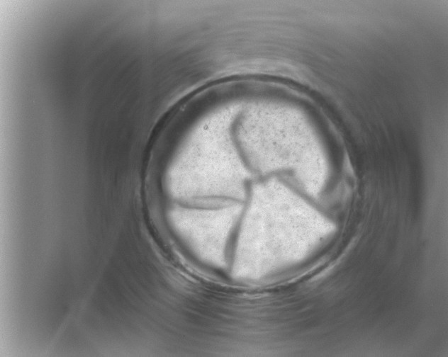 X0000069411505200605262155