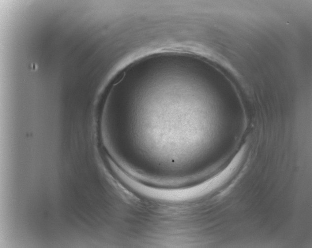 X0000069411506200605262155