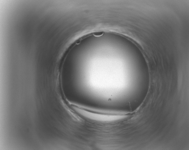 X0000069411507200605262155