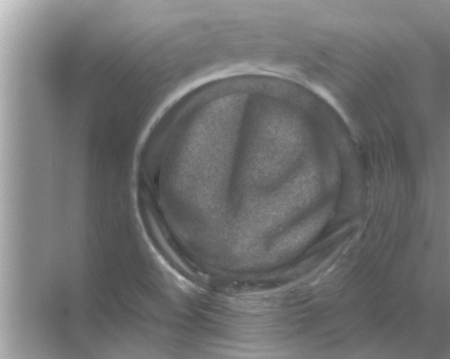 X0000069411508200605262155