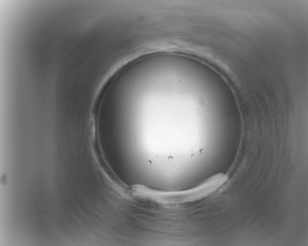 X0000069411509200605262155