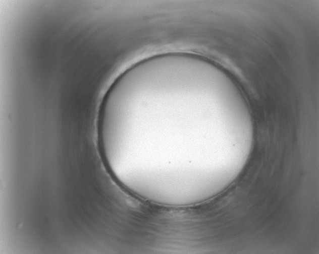 X0000069411512200605262155