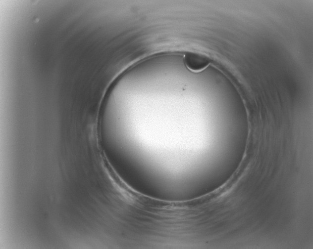 X0000069411513200605262155