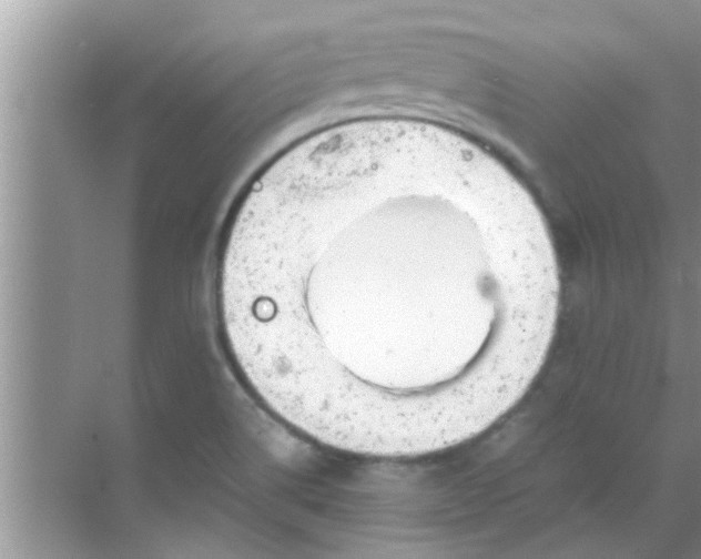 X0000069411514200605262155