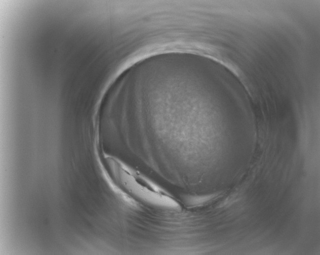 X0000069411515200605262155