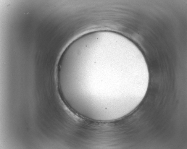 X0000069411516200605262155