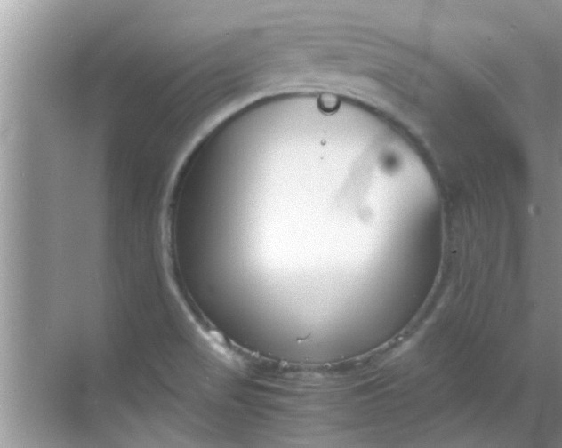 X0000069411517200605262155