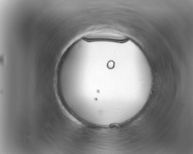 X0000069411518200605262155