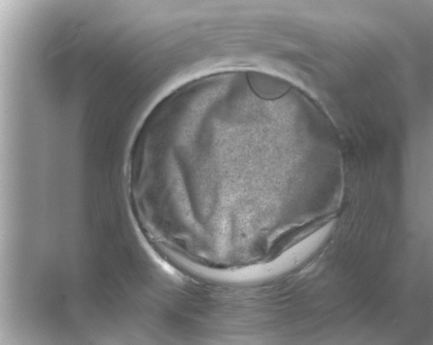 X0000069411519200605262155