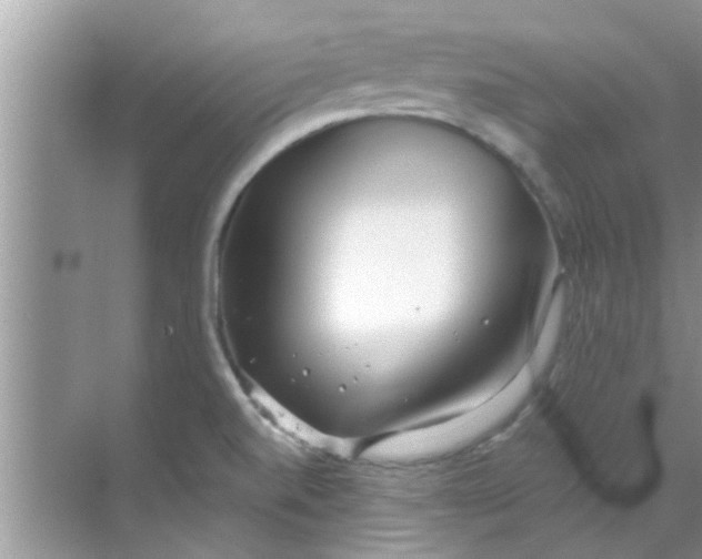 X0000069411520200605262155