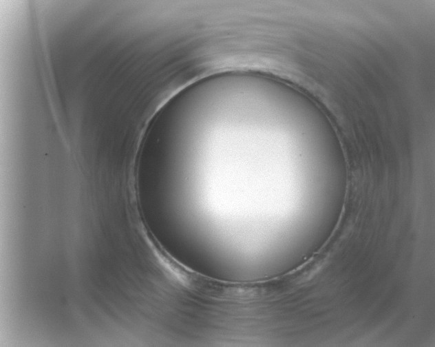 X0000069411521200605262155