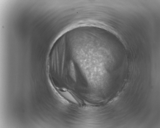 X0000069411522200605262155