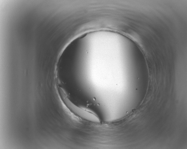 X0000069411524200605262156