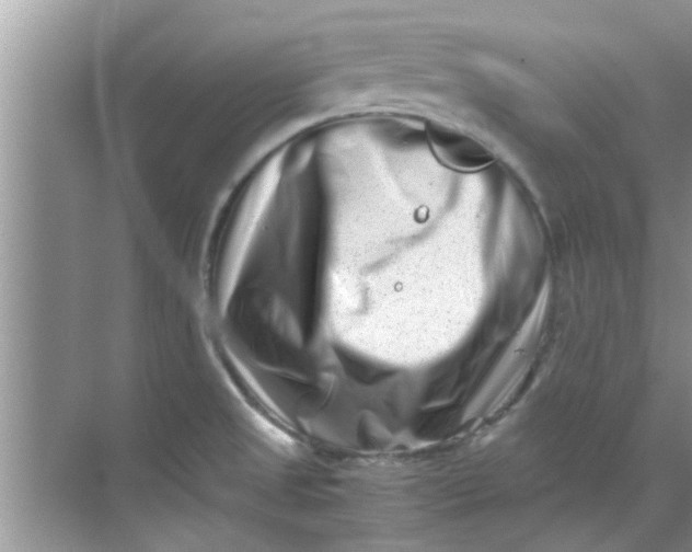 X0000069411525200605262156