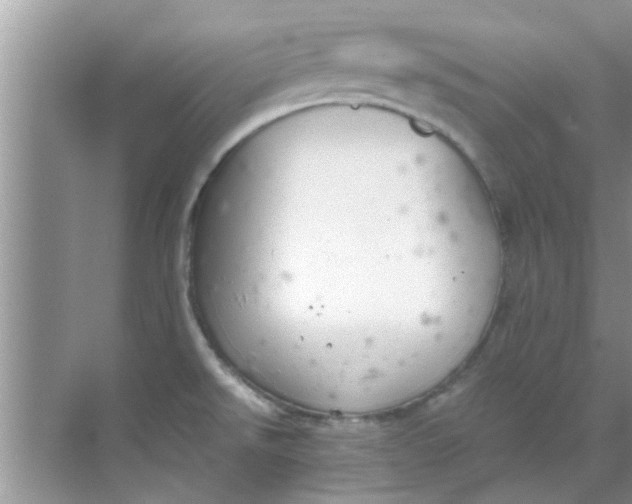 X0000069411526200605262156