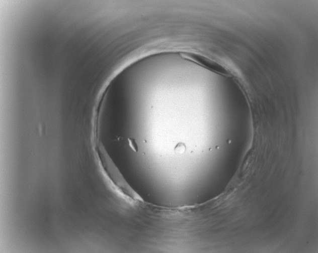 X0000069411528200605262156