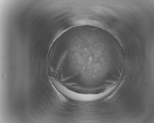 X0000069411529200605262156