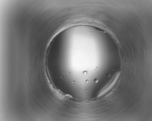 X0000069411530200605262156