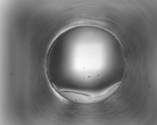 X0000069411531200605262156