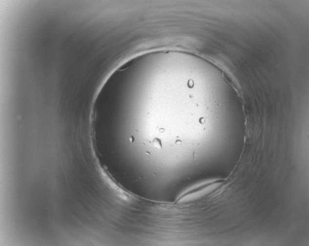 X0000069411532200605262156