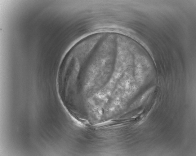 X0000069411533200605262156