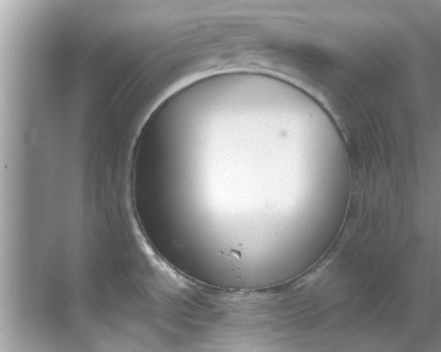 X0000069411534200605262156