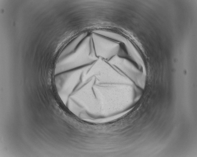 X0000069410010200606021733